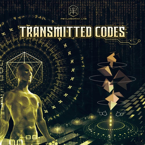 Cover art for Transmitted Codes