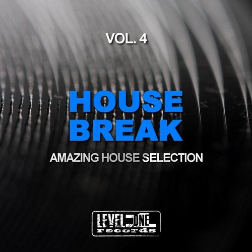 Cover art for House Break, Vol. 4 (Amazing House Selection)