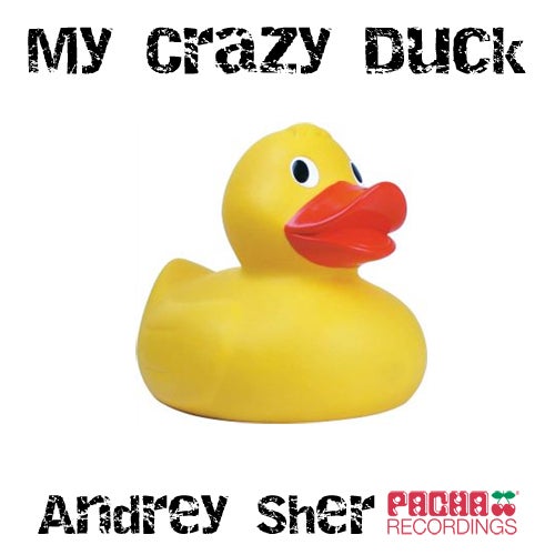 My Crazy Duck