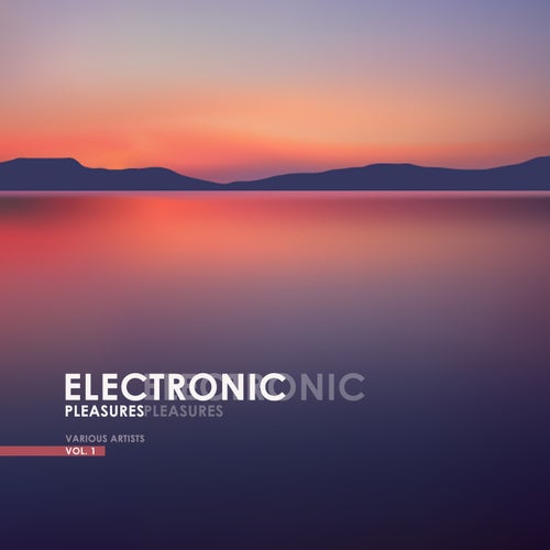 Electronic Pleasures, Vol. 1