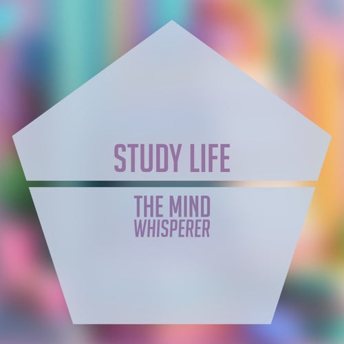 Study Life