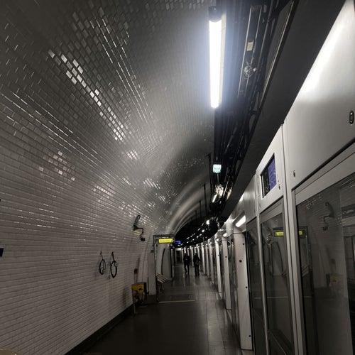 missed train