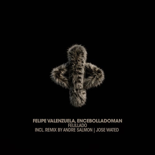 Felillado