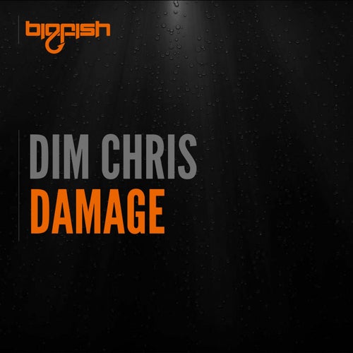 Damage