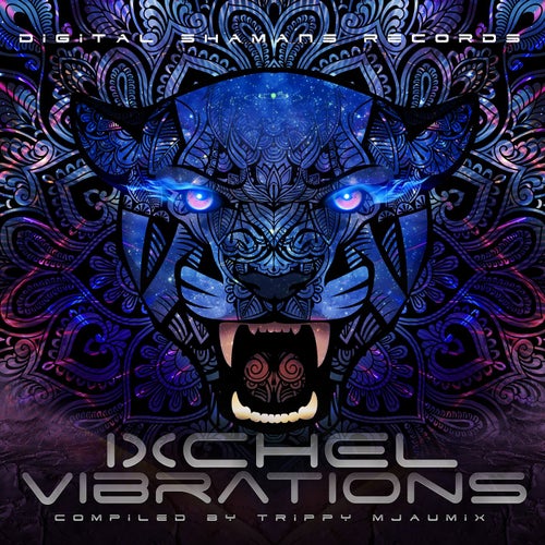 Ixchel Vibrations