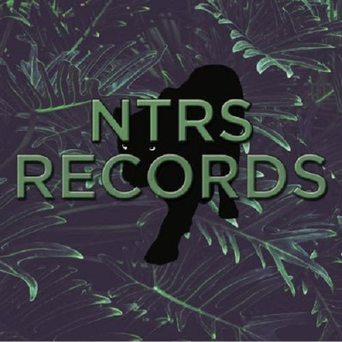 NTRS RECORDS