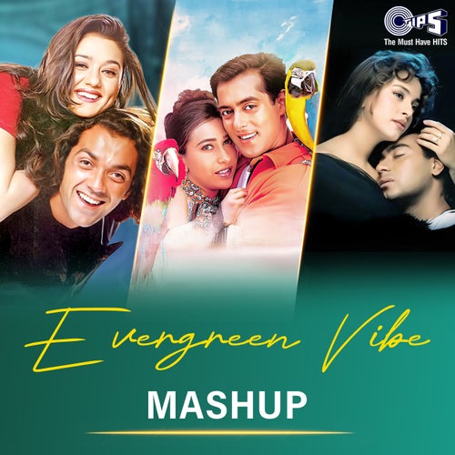 Evergreen Vibe (Mashup)