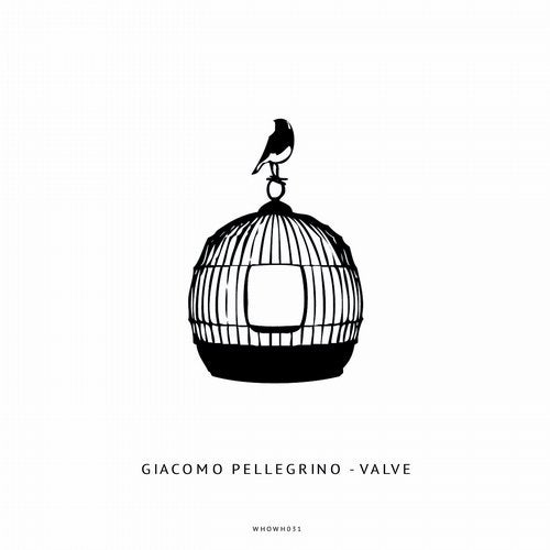 Cover art for Valve
