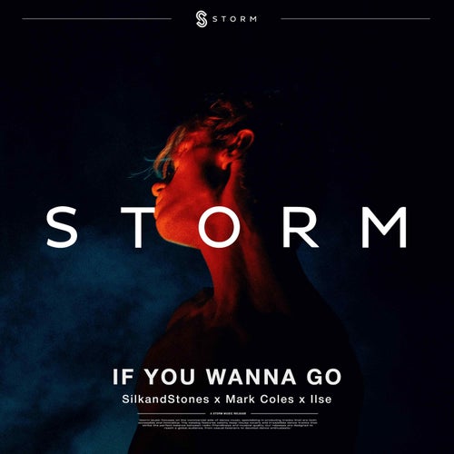 If you wanna go (Extended Mix)