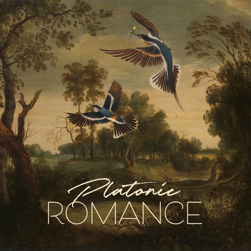 Platonic Romance
