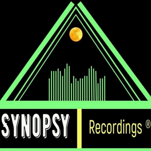 Synopsy Recordings