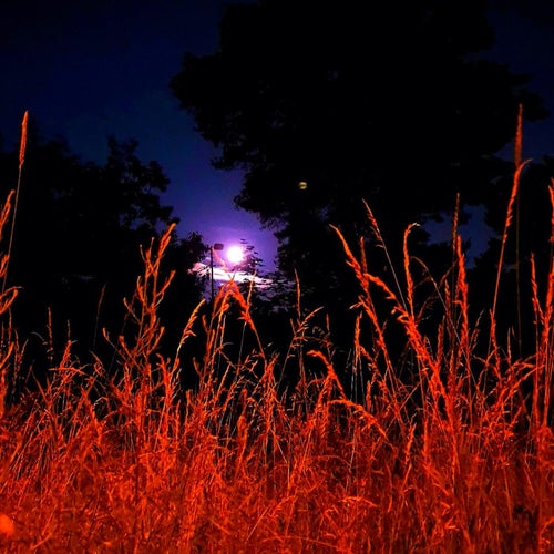 Cover art for Midnight