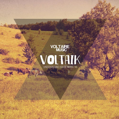 Voltaik #16