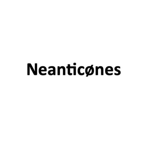 Neanticønes