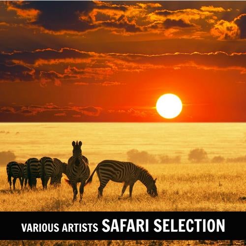 Safari Selection