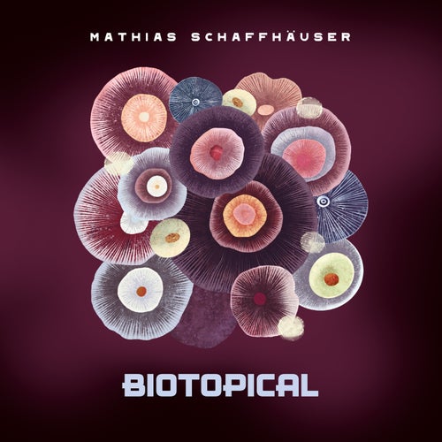 Cover art for Biotopical