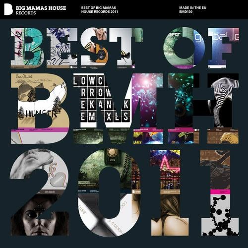 Cover art for Best Of Big Mamas House 2011