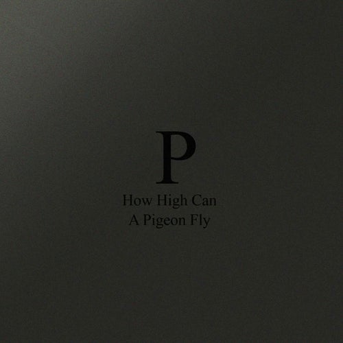 Cover art for How High Can A Pigeon Fly