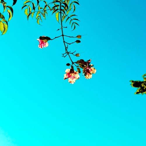 Please Don’t Stop the Music (Bass Edit)