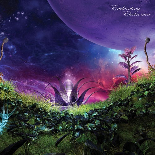 Enchanting Electronica