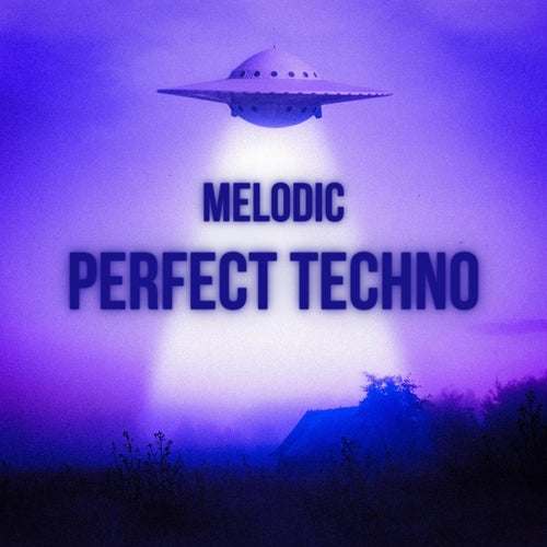 Cover art for Melodic Perfect Techno