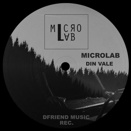Cover art for Din Vale
