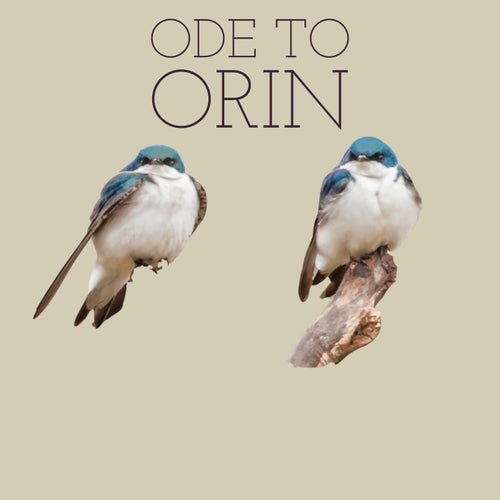 Cover art for Ode To Orin
