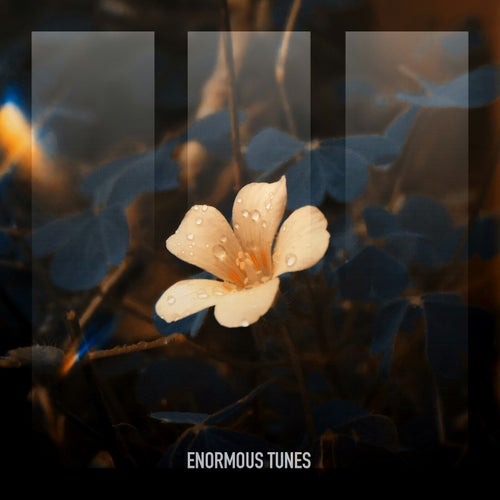 Bloom in the Ashes