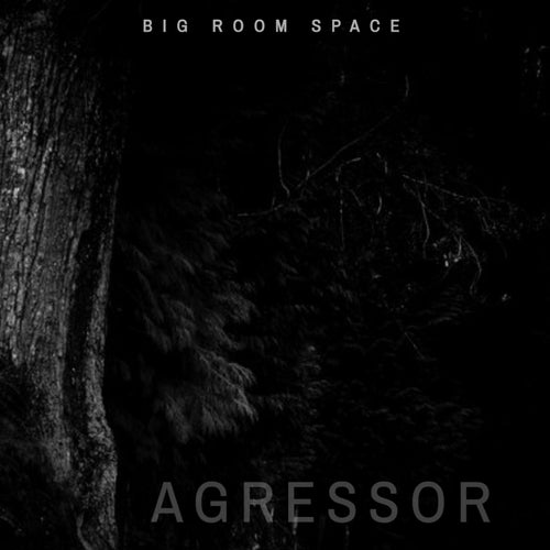 Agressor