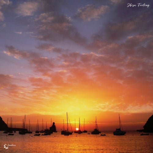 Cover art for Ibiza Feeling
