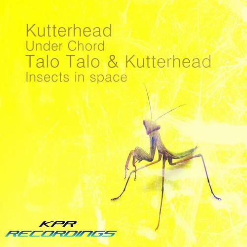 Insects In Space