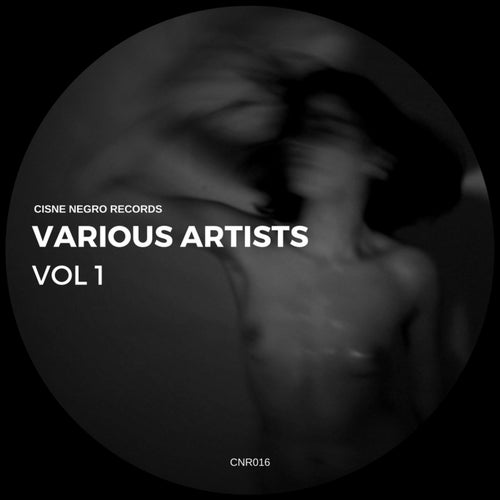 Various Artists, Vol. 1