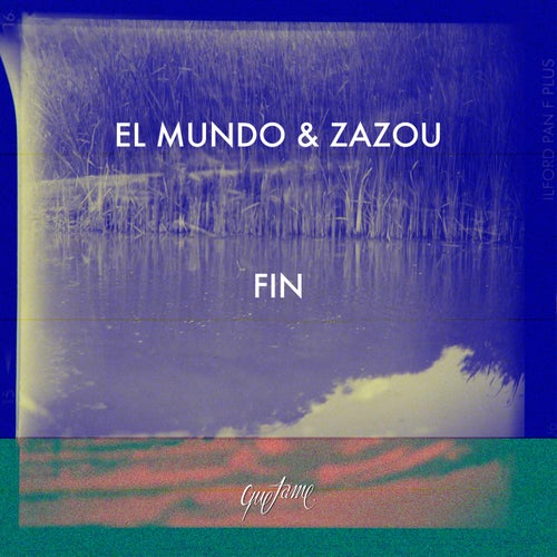 Fin