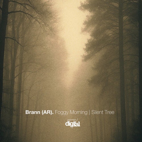 Foggy Morning | Silent Tree