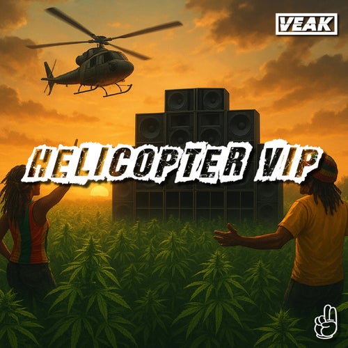 Helicopter VIP