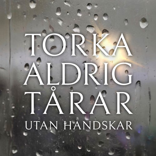 Överge allt för dig (Från musikalen Torka aldrig tårar utan handskar)