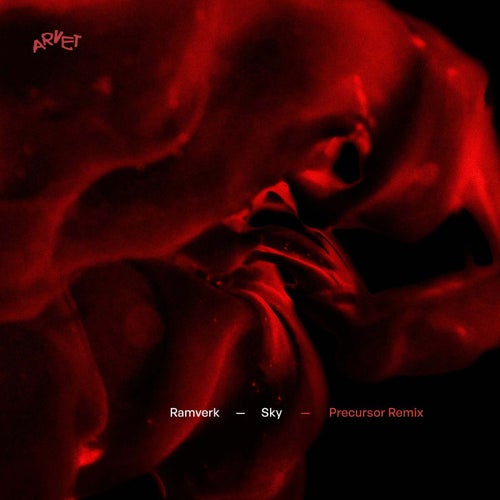 Sky (Precursor (NL) Remix)