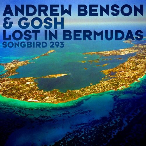 Lost In Bermudas