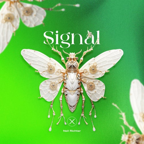 Signal
