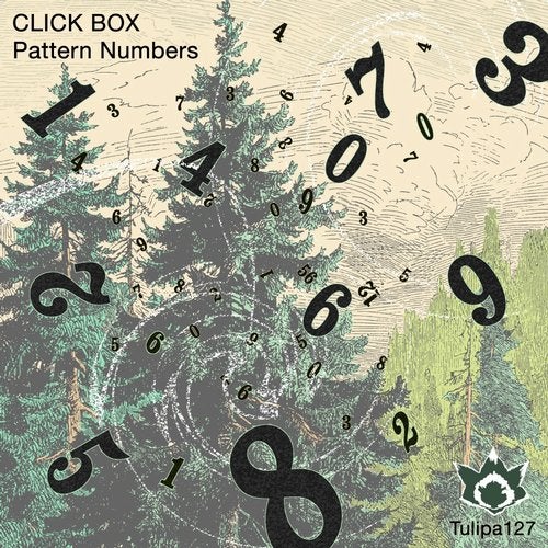 Copertina per Pattern Numbers