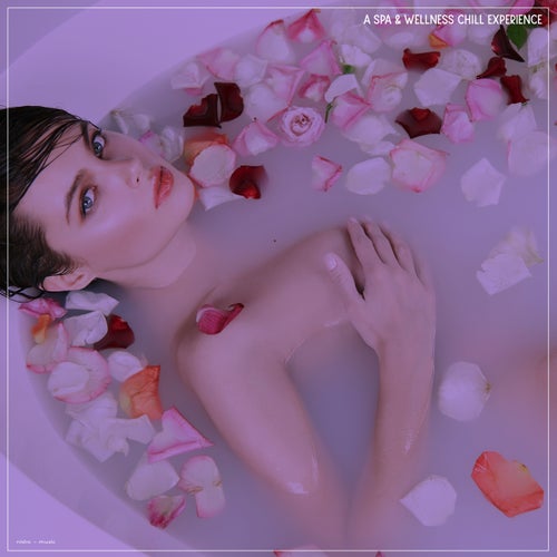 A Spa & Wellness Chill Experience
