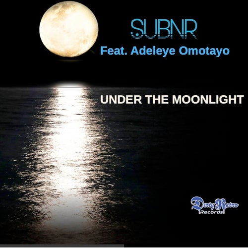 Under the moonlight