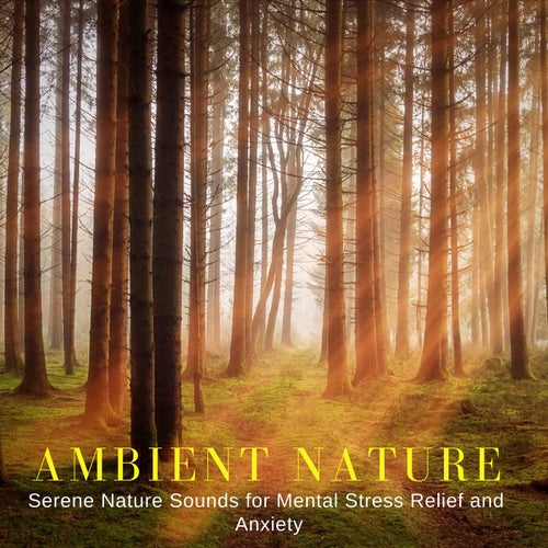 30 FREE Ambient Nature Sounds Effect - Cinematic Sounds Effects - YouTube