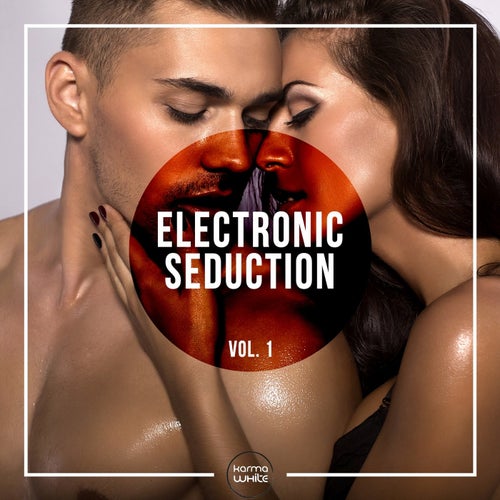 Electronic Seduction, Vol. 1