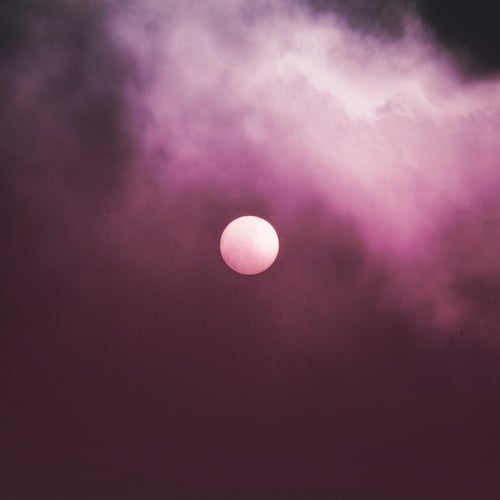 Cover art for The Portal