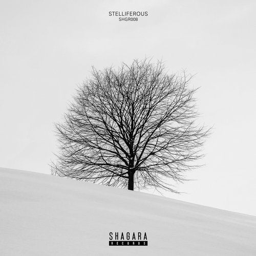 Cover art for Stelliferous