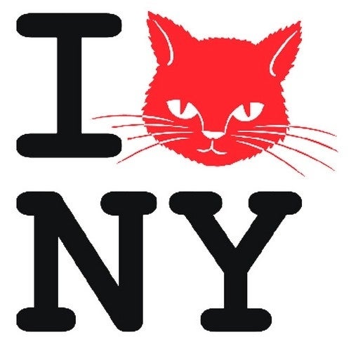 Back In Nyc Chart