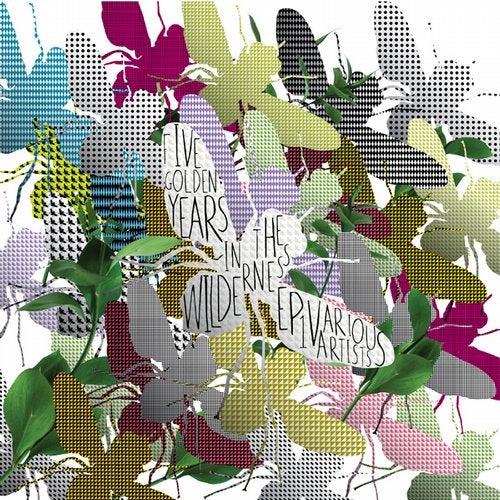Cover art for 5 Golden Years in the Wilderness EP 1