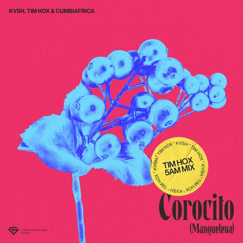 Corocito (Manguelena) - Tim Hox 5AM Mix