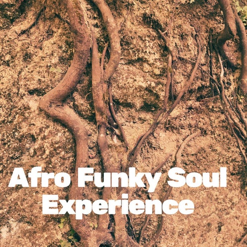 Afro Funky Soul Experience